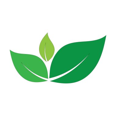 Doğal Taze Yaprak Vektör Logosu Düz Beyaz Arkaplan