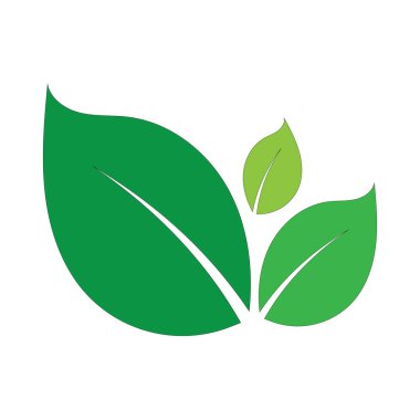 Temiz Modern Yaprak Vektör Logosu Parlak Beyaz Arkaplan