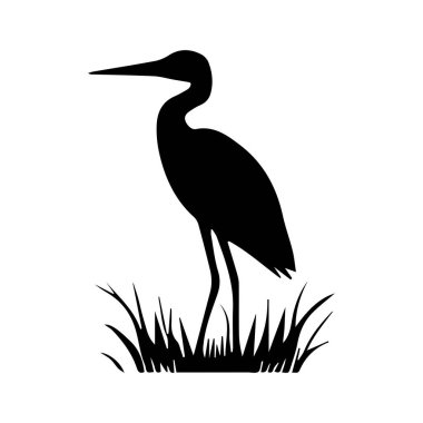 Sanatsal Harflendirme Vahşi Yaşam Marka Tanımlama Biçimi