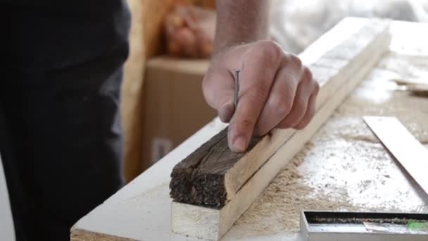 Hamer spijkers in een bord — Stockvideo