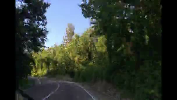 Carretera lapso de tiempo bosque — Vídeos de Stock