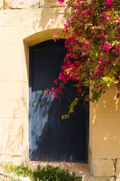 Mavi kapı Gozo — Stok fotoğraf