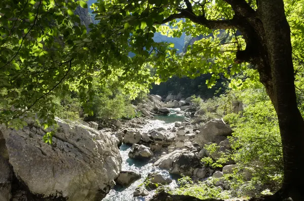 A Verdon-szurdok — Stock Fotó