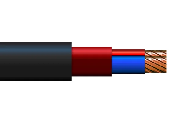 Vectorillustratie van een kabel. — Stockvector