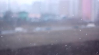 Şehre ilk kar yağdığında soğuk günler gelir.