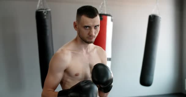Steadicam girato: ritratto del kickboxer in piedi nella posizione di combattimento, combattente MMA è in allenamento, 4k 60p Prores HQ — Video Stock
