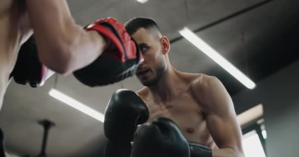 Disparo de ángulo bajo: luchador con guantes de boxeador está practicando sus golpes con entrenador en cámara lenta en el gimnasio, kickboxers están entrenando, 4k 120fps HQ de Prores — Vídeos de Stock