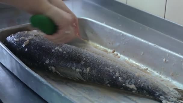 Kock rengör fisken med kniv — Stockvideo