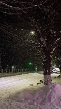 Kışın akşam caddesi. Geceleri kar yağıyor, trafik arabalarla dolu. Gece hızla düşen ağır ve yoğun kar tanelerinin büyüleyici bir görüntüsü. Kar, bir sokak lambasının keskin, konsantre ışığıyla parlak bir şekilde aydınlatılır.,