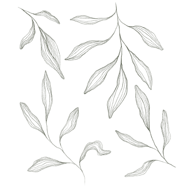 Çiçek deseni. Manolya çizimi. Manolyanın doğrusal çizimi. Kumaşlar, giysiler, kartpostallar, posterler, resimler, kırtasiye ve baskı için manolya çiçeği çizimi, dergiler.