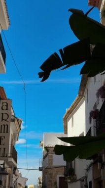Carrer Major, 31, 03730 Javea, Alicante, İspanya. 20 Ekim 2025. İspanya sokaklarından dikey video. Şehirde renkli bir cadde. Güneşli İspanya ve şehrin güzel mimarisi.