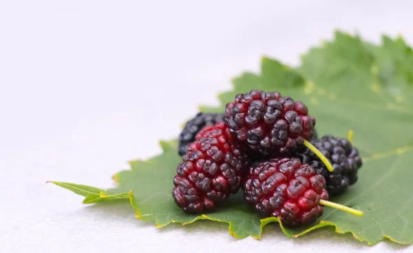 Mulberries on a leaf — Stock Photo, Image