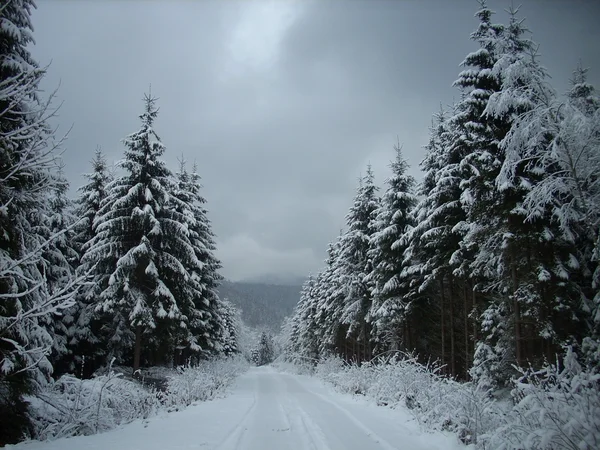 Зима в горах. Украинские Карпаты . — стоковое фото