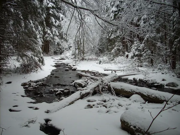 Inverno nas montanhas. Cárpatos ucranianos . — Fotografia de Stock