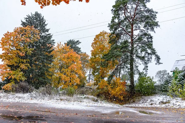 Hiitola Karelen Ryssland 2019 Den Första Snön Karelen 2019 — Stockfoto