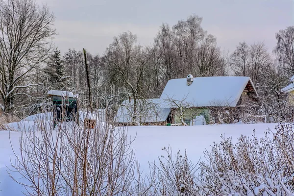 Lever Soleil Dans Village Sapernoe Région Leningrad — Photo