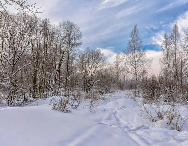 Paysage Hivernal Dans Région Leningrad Russie — Photo