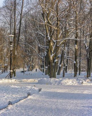 Alexander Garden, St. Petersburg 'da soğuk bir kış gününde.