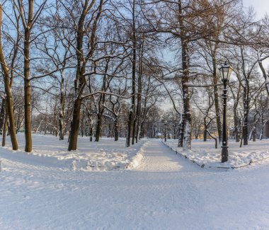 Alexander Garden, St. Petersburg 'da soğuk bir kış gününde.