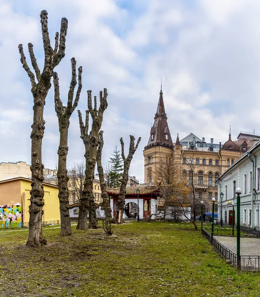 Ogród Przyjaźni Aleja Rzutów Petersburg Rosja Dniu Listopada 2017 Ogród — Zdjęcie stockowe