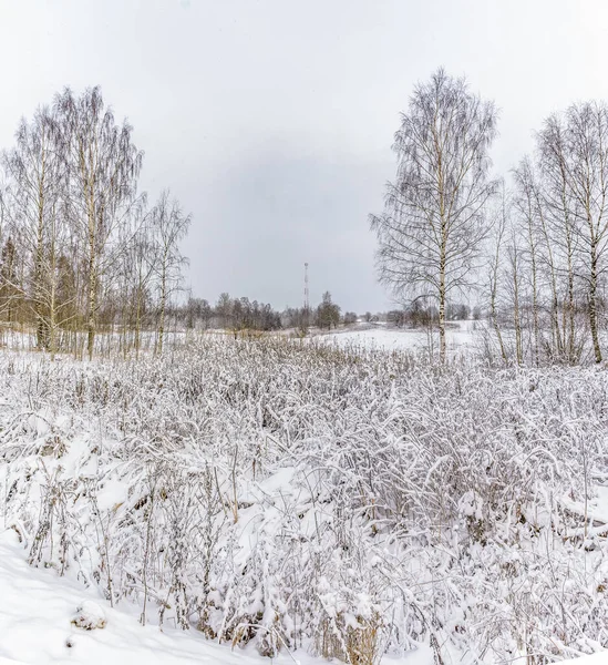 Paisagem Inverno Campo Com Árvores Casas Após Forte Nevasca — Fotografia de Stock