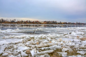 Ledová tříšť na řece Nevě v Petrohradě u Rybatskoye.