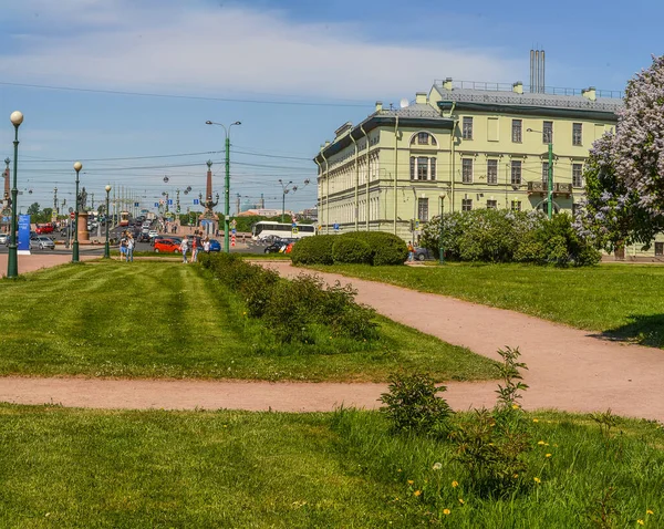 Цветущие Сирени Марсовом Поле Санкт Петербурге Мае Месяце — стоковое фото