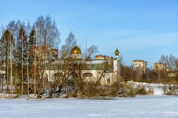 Сільський Пейзаж Дерев Яними Будинками Взимку — стокове фото