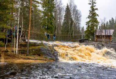 Karelia 'daki Akhinkoski şelaleleri 
