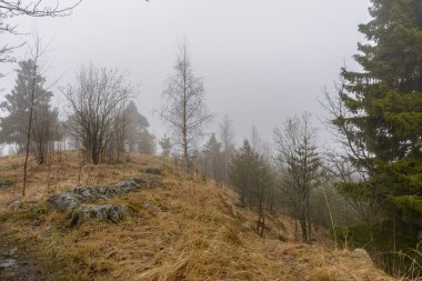Kuhavuori dağından güzel doğal manzara. Park 1874 yılında şehrin ünlü vatandaşlarının inisiyatifiyle kurulmuştur. En iyi doğal parklardan biri..