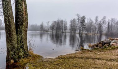 Corella kalesinin yanındaki Priozersk 'teki Vuoksa nehrinin taşması.. 