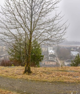 Kuhavuori dağından güzel doğal manzara. Park 1874 yılında şehrin ünlü vatandaşlarının inisiyatifiyle kurulmuştur. En iyi doğal parklardan biri..
