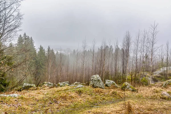 Hermosas Vistas Naturales Desde Montaña Kuhavuori Parque Fue Establecido 1874 — Foto de Stock