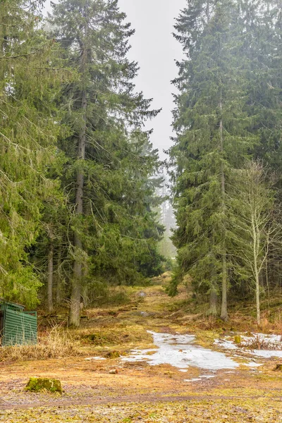 Gyönyörű Természeti Kilátás Nyílik Kuhavuori Hegyről Parkot 1874 Ben Állapították — Stock Fotó