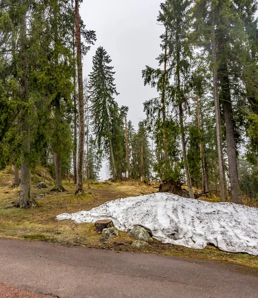 Belas Vistas Naturais Montanha Kuhavuori Parque Foi Estabelecido 1874 Por — Fotografia de Stock