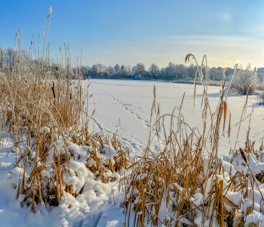 Buz ve karla kaplı kış manzarası. 