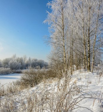 Buz ve karla kaplı kış manzarası. 