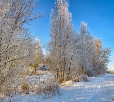 Buz ve karla kaplı kış manzarası. 