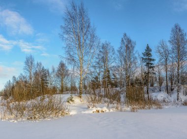 Tuğla fabrikasının eski bir taş ocağının kıyısında kış akşamı. 