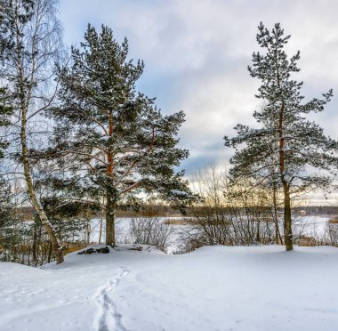 Tuğla fabrikasının eski bir taş ocağının kıyısında kış akşamı. 