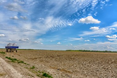 Baharda tarlada tarım işi. Patates, pancar ve diğer ürünleri ekiyorum..