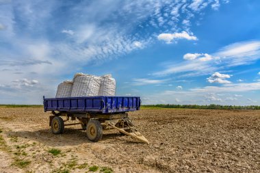 Baharda tarlada tarım işi. Patates, pancar ve diğer ürünleri ekiyorum..