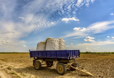 Baharda tarlada tarım işi. Patates, pancar ve diğer ürünleri ekiyorum..
