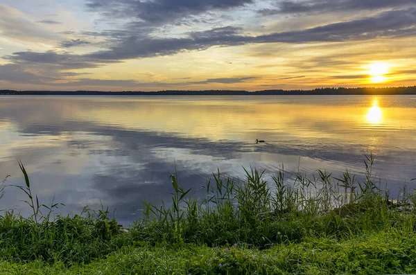 Aube Estivale Sur Lac Valdai Dans Région Novgorod — Photo