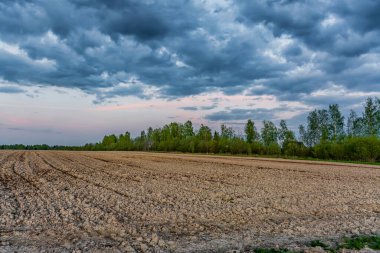Sebze ekmeye hazırlanan bir tarım tarlasında gün batımı. 