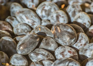 Reçel için bir sürü olgun mavi erik. 