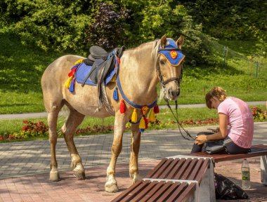 Kuopio Parkı, Pskov, Rusya. 27 Temmuz 2019. Çok güzel dekore edilmiş bir at, çocukları parkta bekliyor.. 