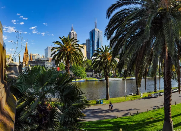 Parki Ogrody Melbourne Australia — Zdjęcie stockowe