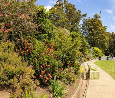 Dandenong Dağı, SkyHigh. 26 Gözlemevi Bulvarı, Dandenong Dağı VIP 3767. Avustralya. 3 Ocak 2014. Yüksek bir yerden çevreye bak.. 