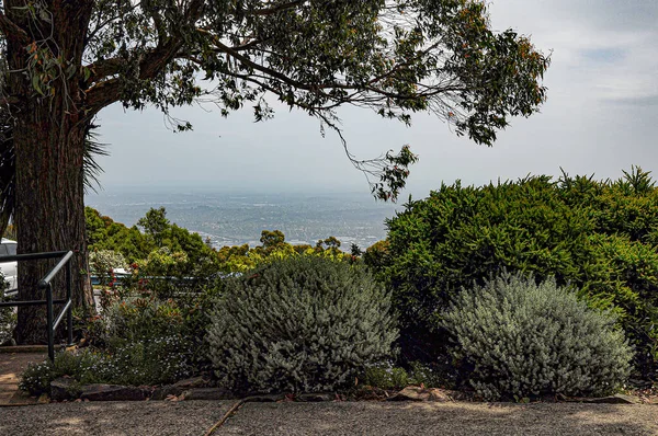 Высокая Гора Данденонг Observatory Mount Dandenong Vic 3767 Австралии Января — стоковое фото